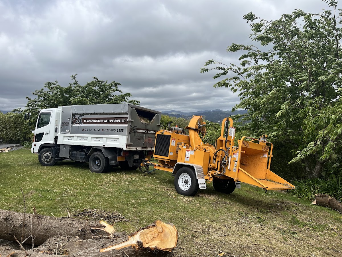 The Branching Out Wellington truck and woodchipper, signwritten with Qualified Arborists