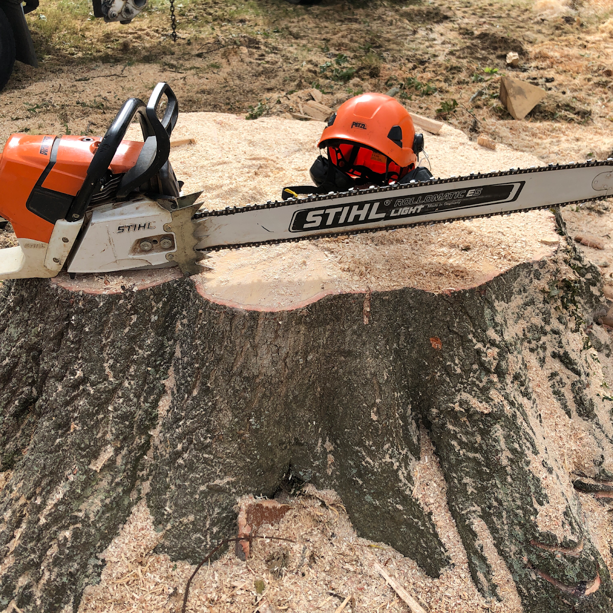 Chainsaw and safety helmet resting on a freshly cut stump