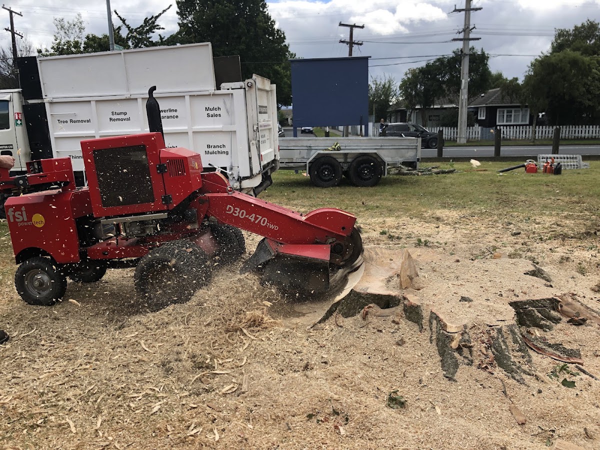 FSI stump grinder working through a large stump